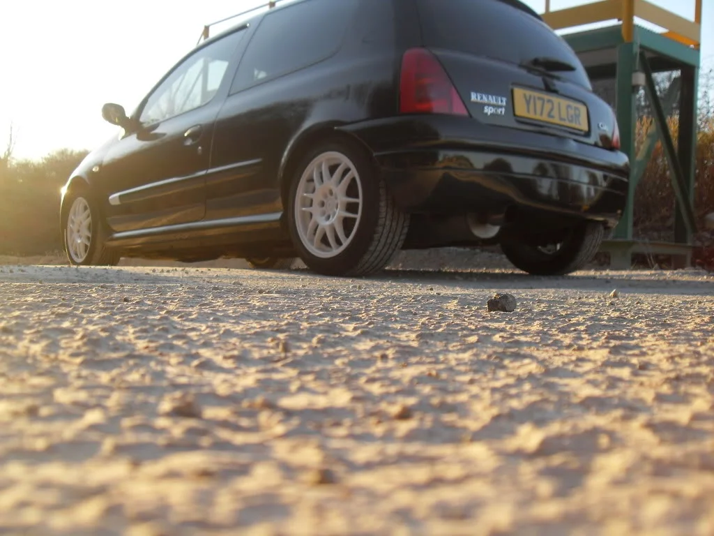 SDC10091-1.webp