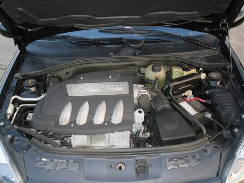 SDC10560.webp