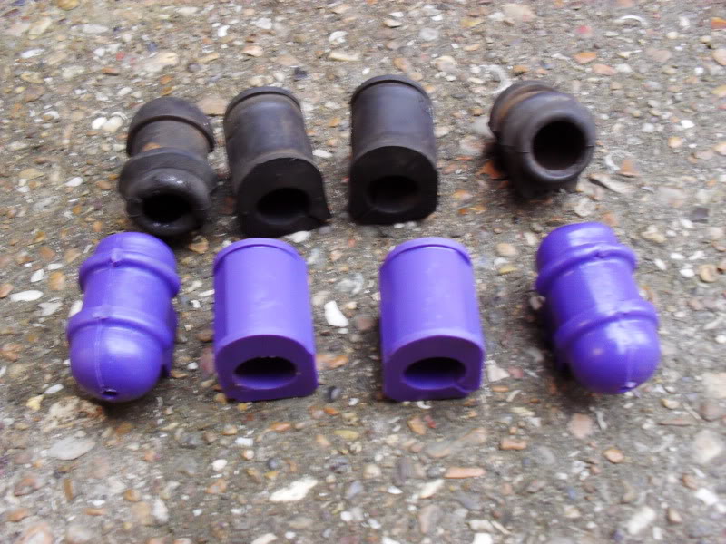 SDC10573.jpg