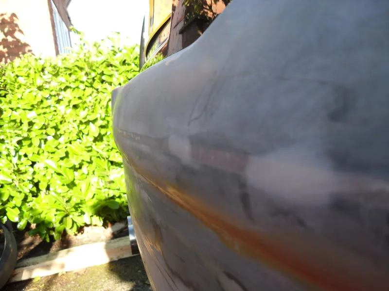 SDC11067.webp