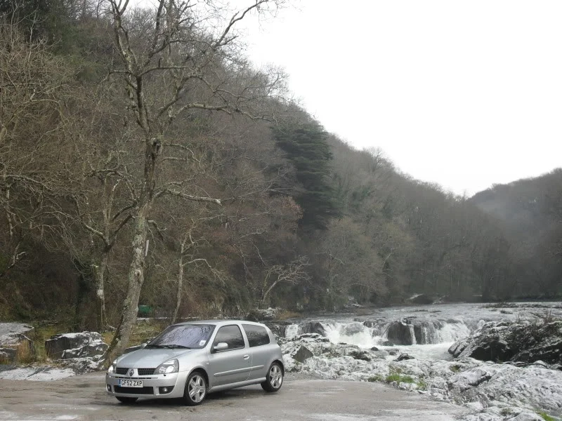 SDC11121.webp