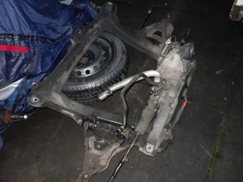 SDC11148.webp