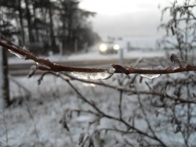 SDC11451.webp