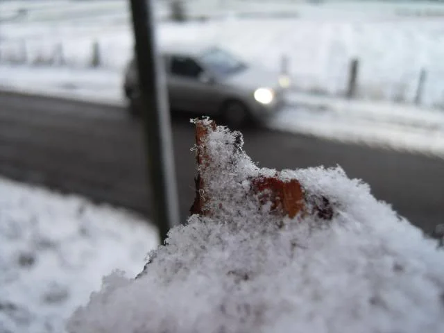 SDC11461.webp
