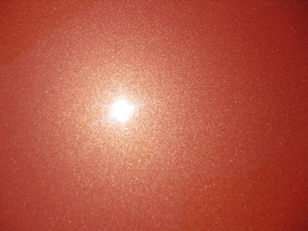 SDC11486.webp