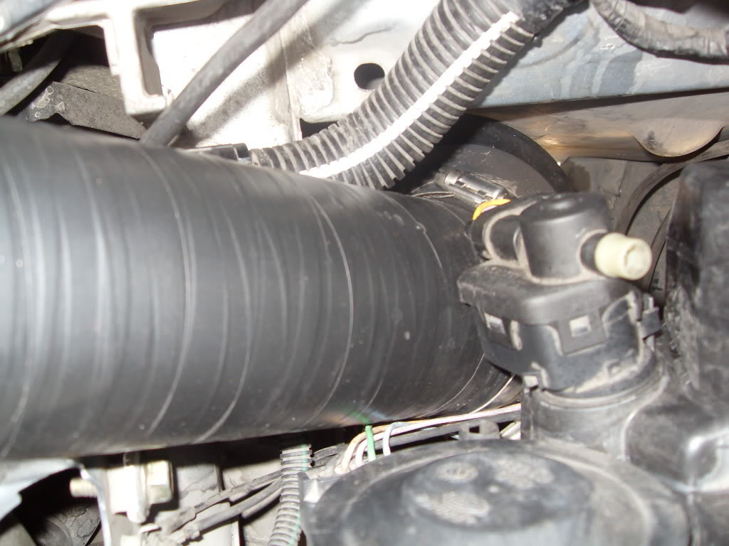 SDC11661.jpg