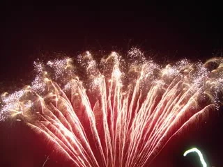 SDC12412.webp