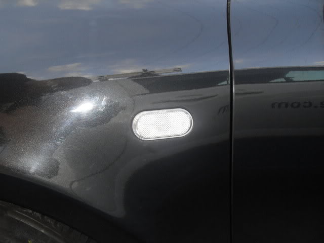 SDC16234.jpg SDC16234.jpg