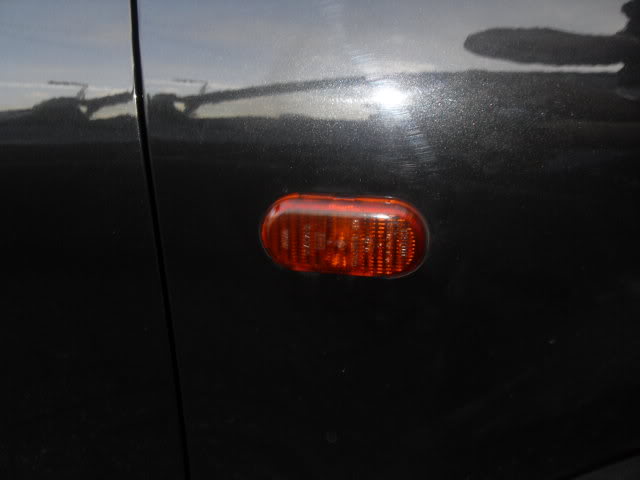 SDC16236.jpg SDC16236.jpg
