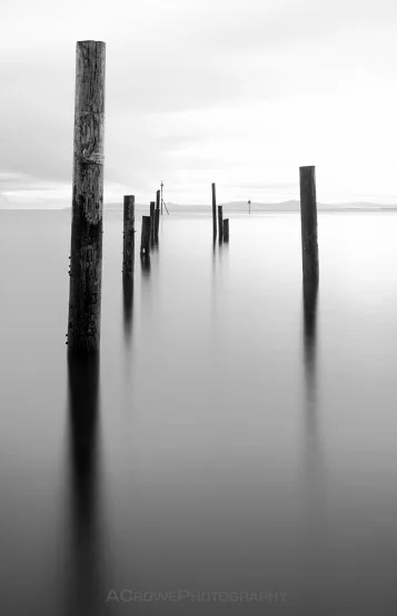 Sea+sticks.webp