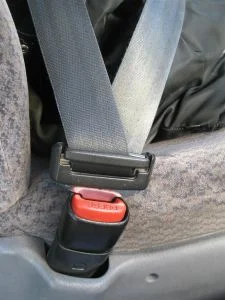 seatbelt.webp