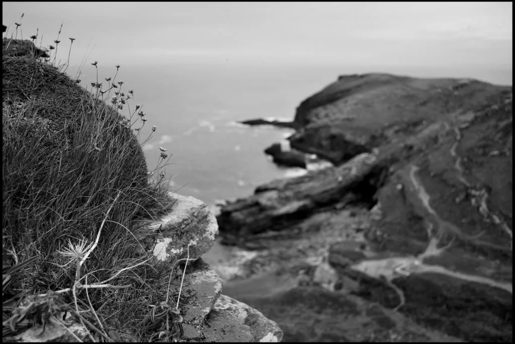 SeaView.webp