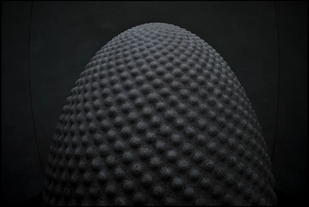 Seed2.webp