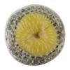 Sell_Stainless_Steel_Scrubber.summ.webp