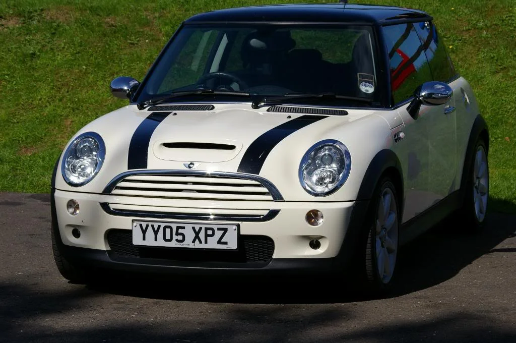 SG1L4910.webp