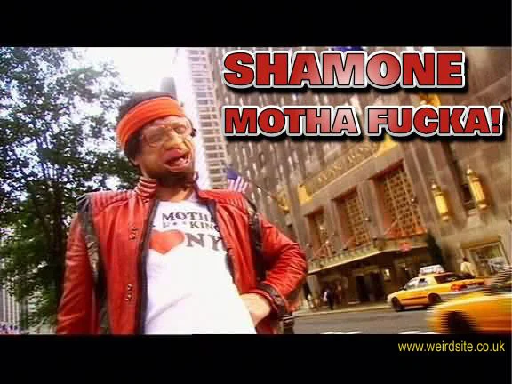 shamone.webp