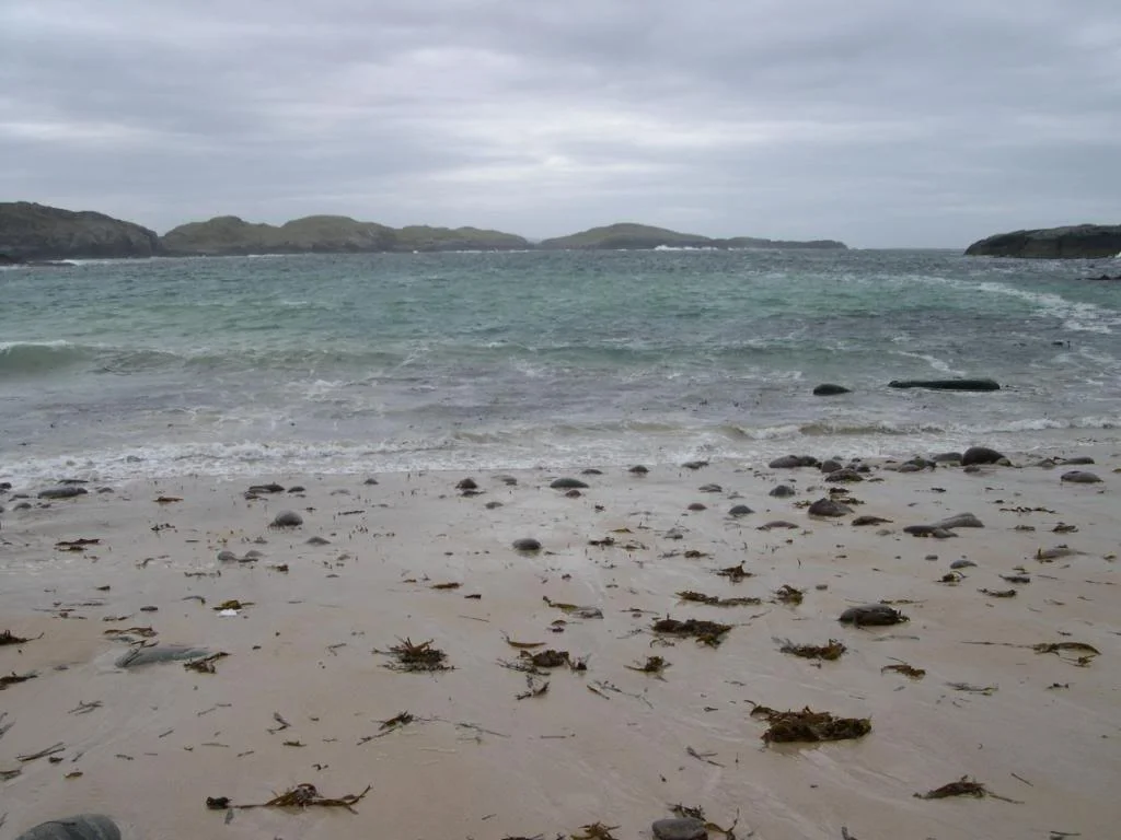 Sheigrabeach1.webp