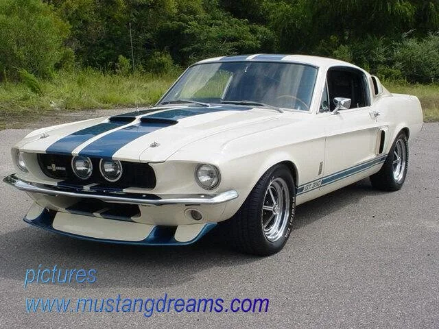 Shelby-GT-350.webp