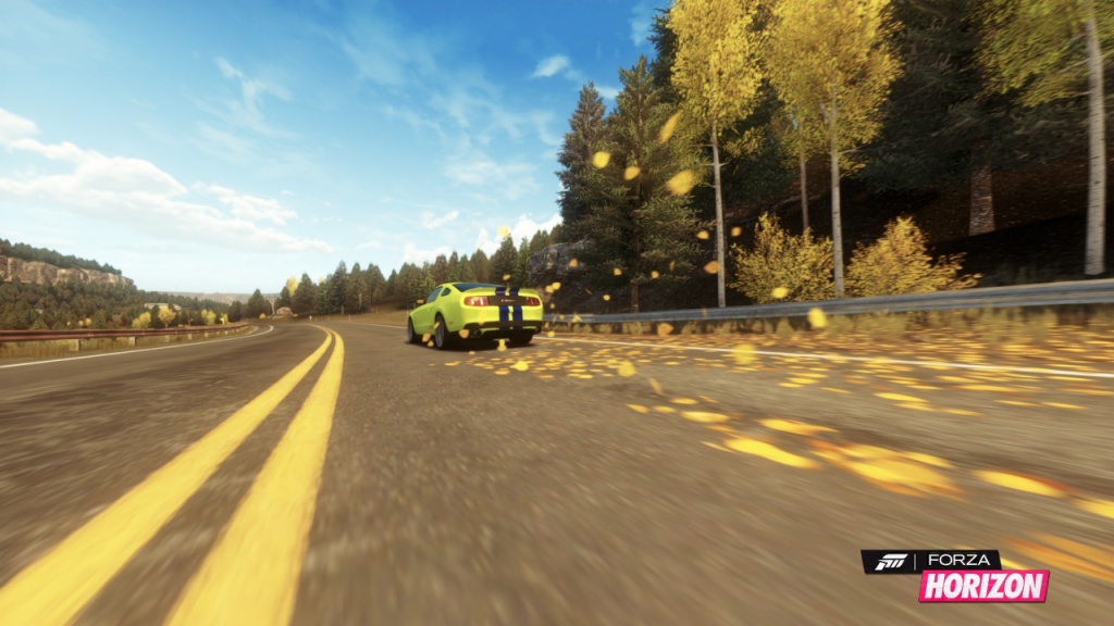 shelby.jpg