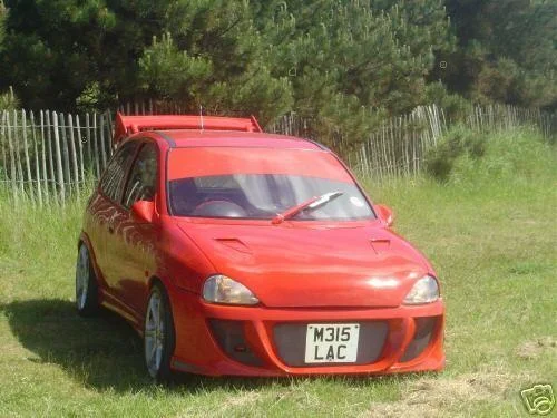 shineyredebaycorsa001.webp