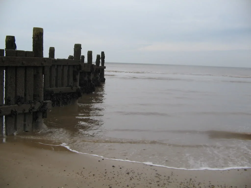 Shore.webp