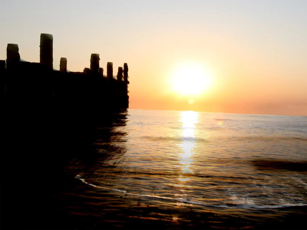 Shore2.webp