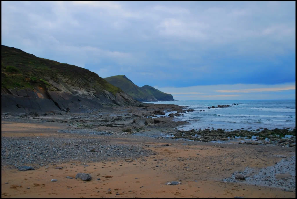 Shoreline.webp