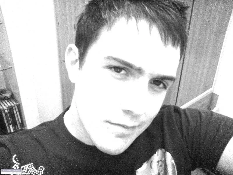 shorthair3.webp