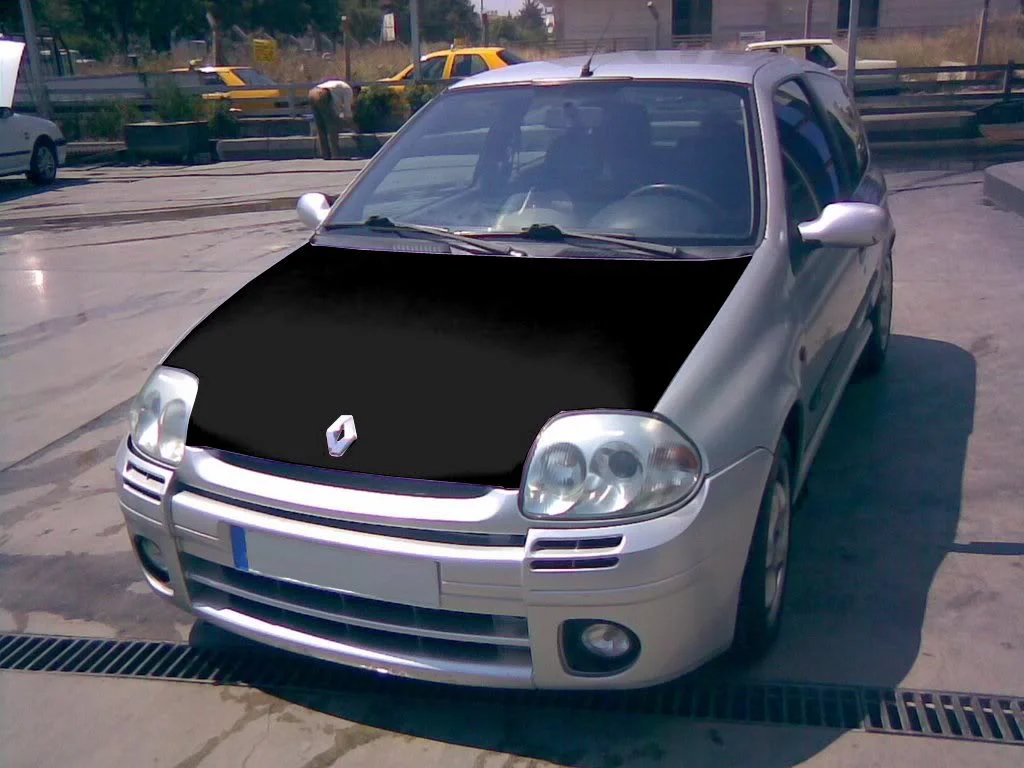 silverblackbonnet1.webp