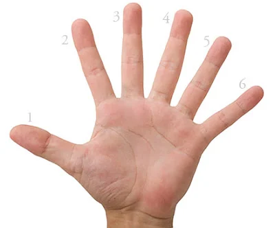 six-fingers.webp