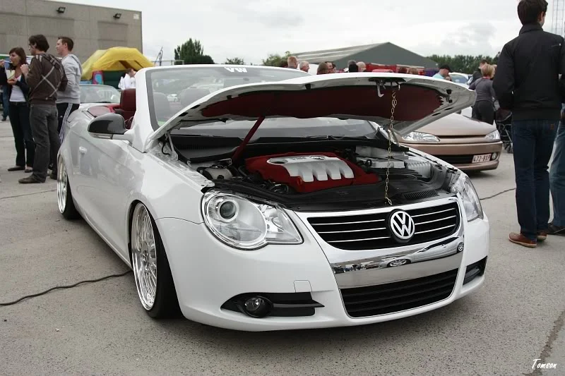 sized_twa133.webp