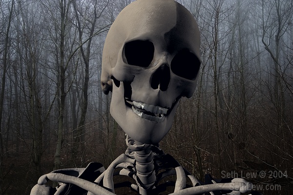 skeleton%20in%20forest_std.jpg