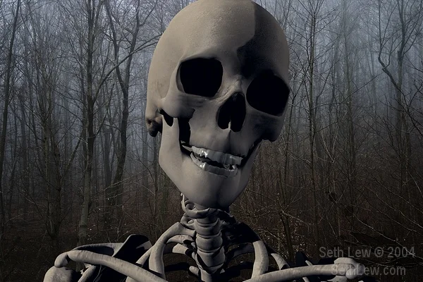 skeleton%20in%20forest_std.webp
