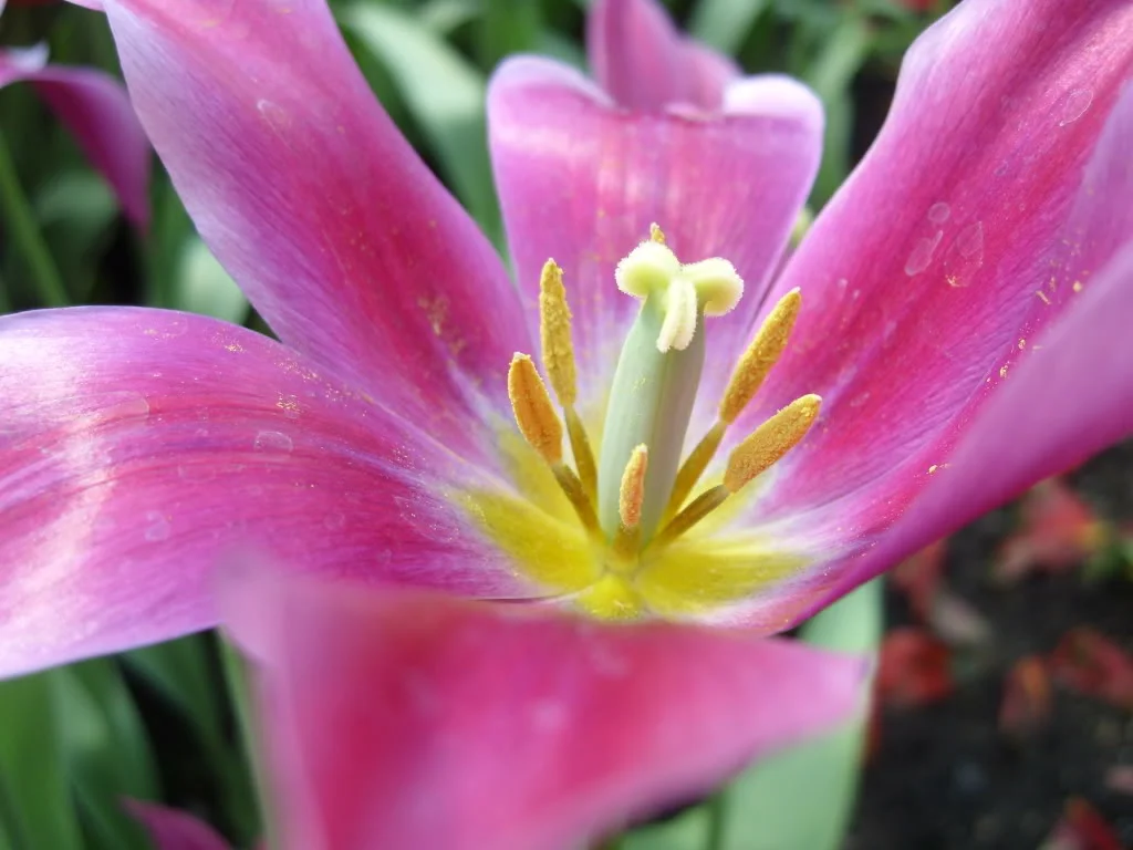 SL270338_2.webp