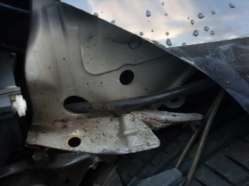 SL380534.webp