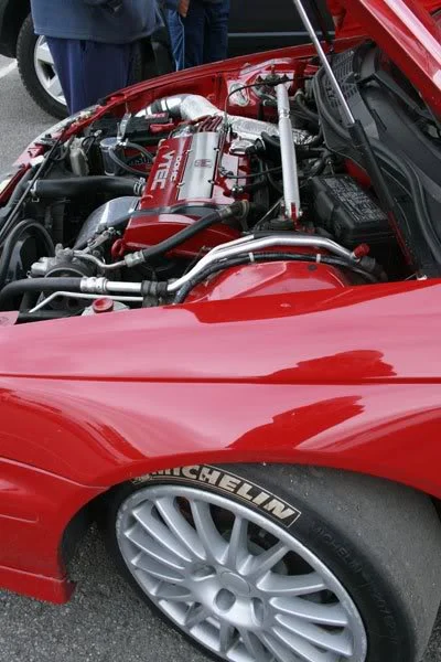 slicks.webp