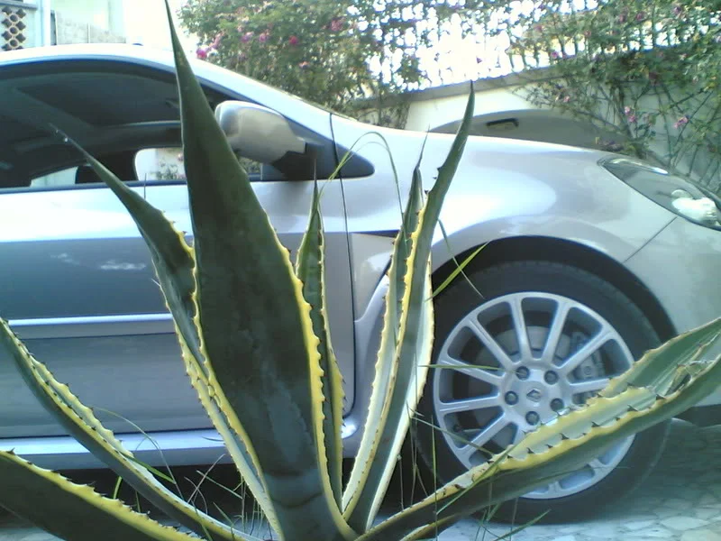 Slika1000.webp