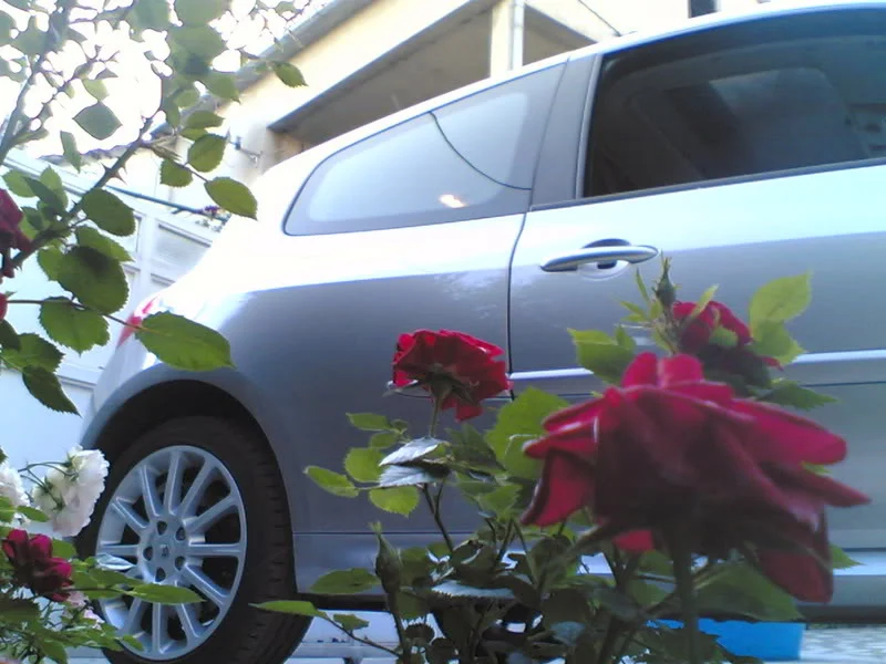 Slika993.webp