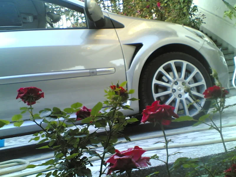 Slika994.webp