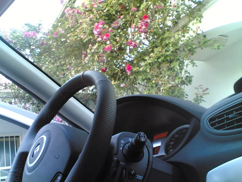 Slika998.webp
