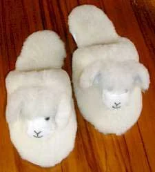 slippers.webp