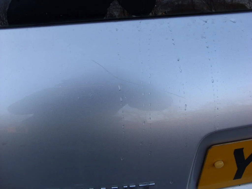 SN851530.webp
