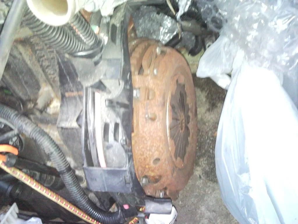 SNC00040.webp