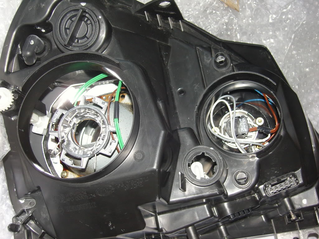 SNC11380.jpg