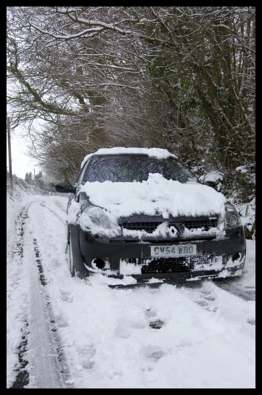 snow-2.webp