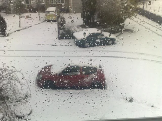 Snow.webp