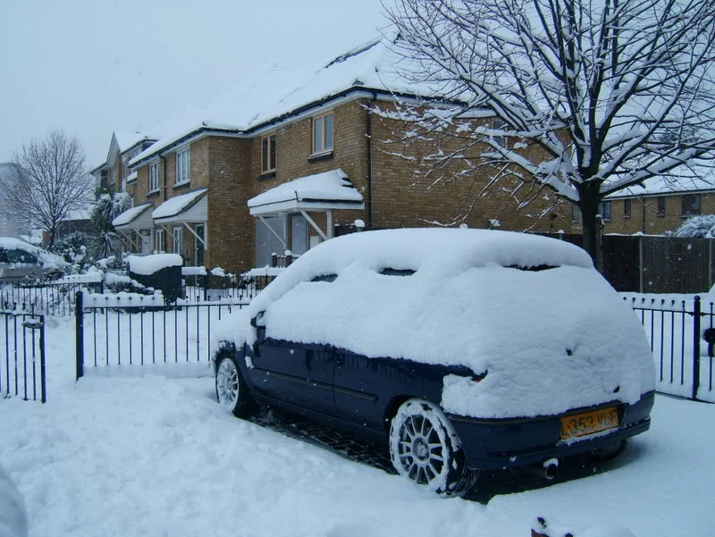 snow002.webp