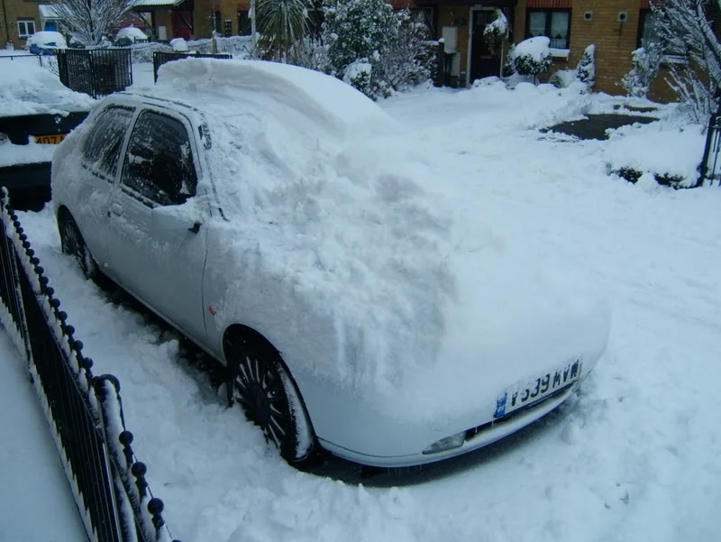 snow004.webp