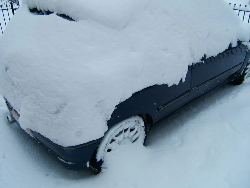 snow005.webp