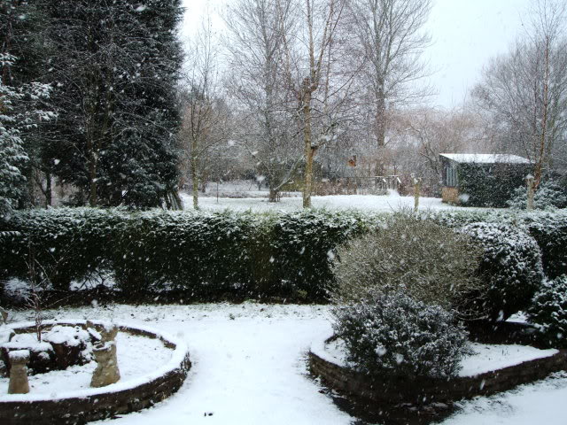 snow2.jpg